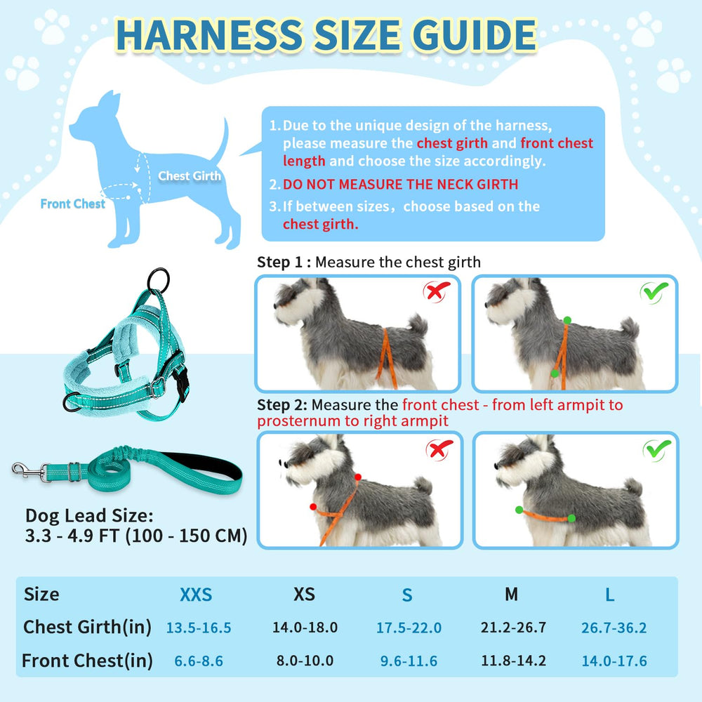 SlowTon arnés para perros pequeños ideal para caminatas y entrenamiento.