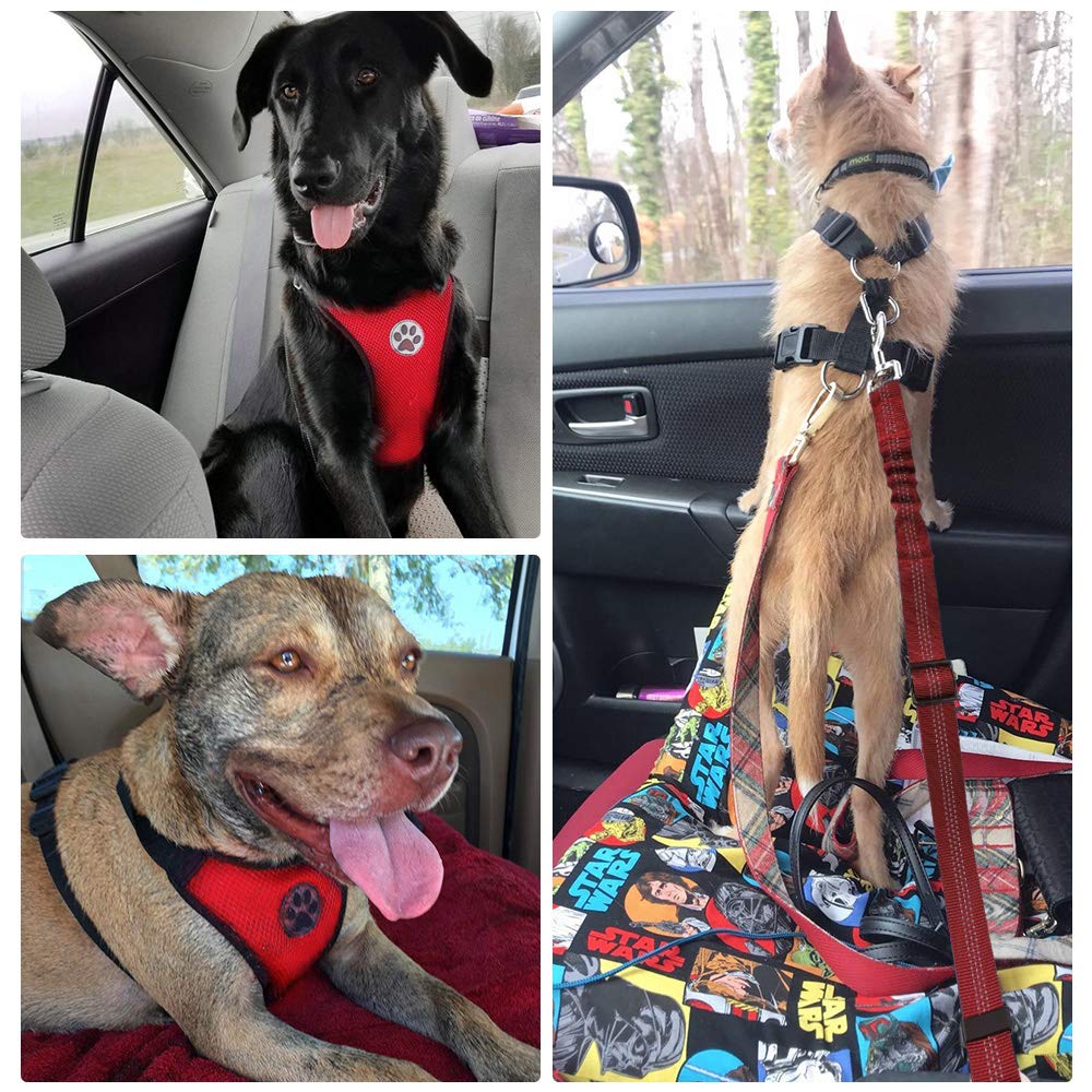 SlowTon arnes-perro-auto uso multi para coche y paseo.