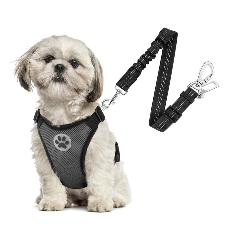 Arnés SlowTon para perro con malla transpirable, ideal para viajes en coche.