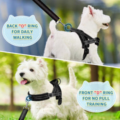 SlowTon arnés para perro pequeño con diseño triangular que distribuye la tensión
