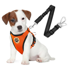 SlowTon arnés perro seguridad coche con doble clip naranja, mantiene al perro seguro durante el viaje