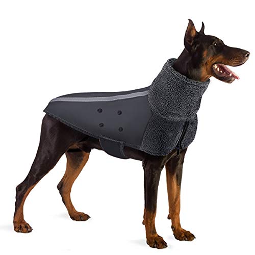 SlowTon capa-perro-invierno-prueba-uso-exterior ideal para salidas invernales.