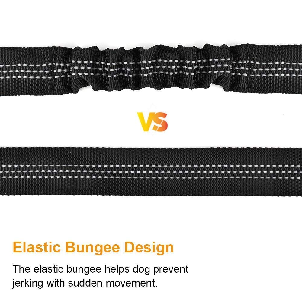 SlowTon cinturón elástico para perro, ideal para paseos seguros.