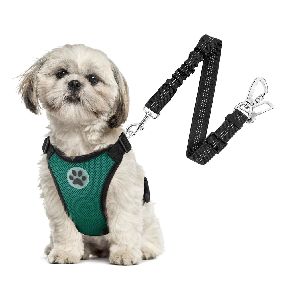 SlowTon cinturón de seguridad para perro en coche con doble anclaje para mayor seguridad.
