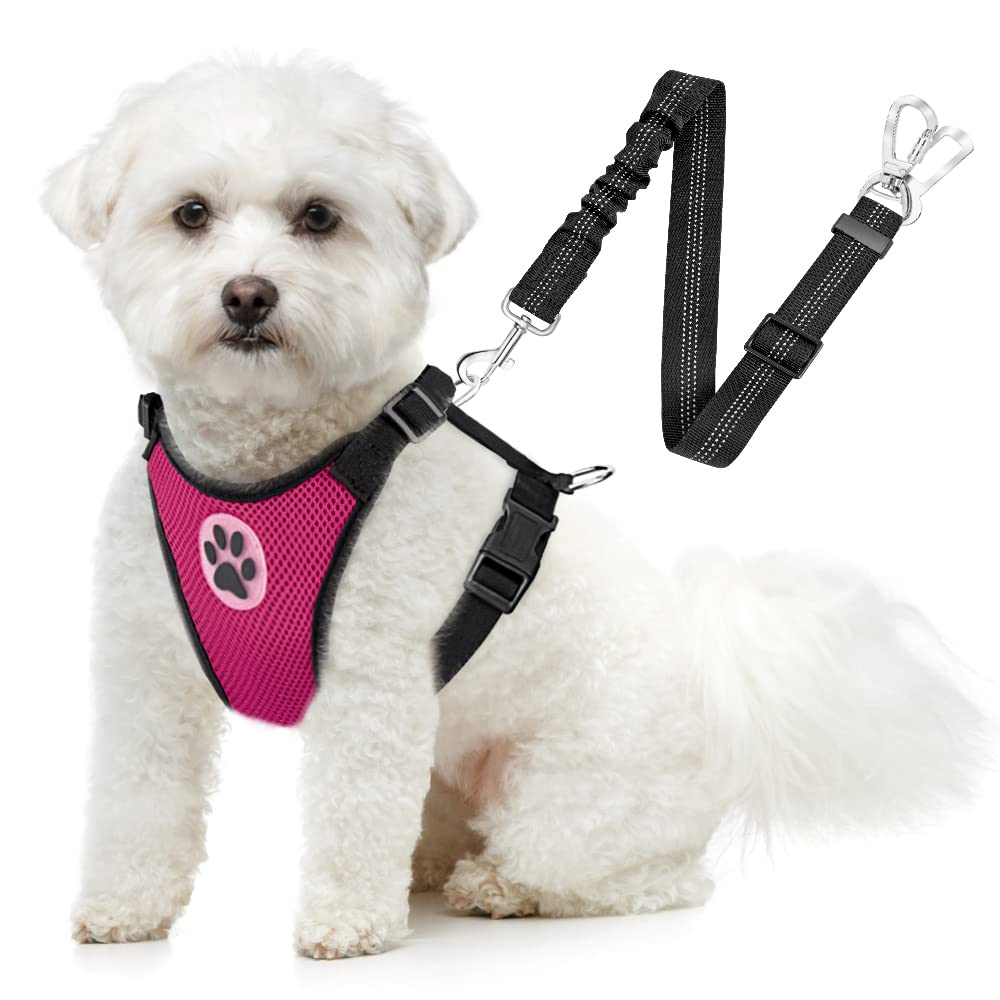 SlowTon cinturon seguridad perro coche para viajes seguros y visibles