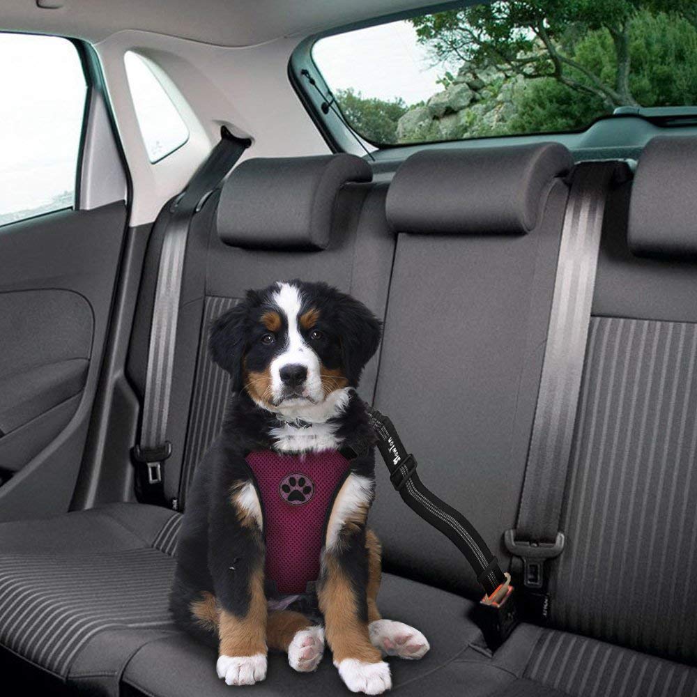 SlowTon cinturón de seguridad para perro con elástico, evita distracciones.