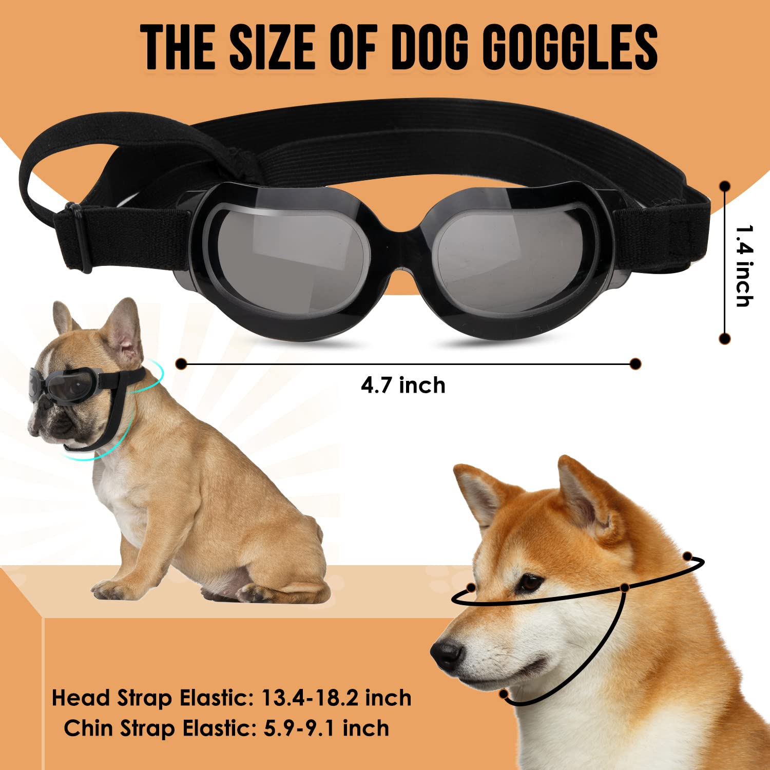 SlowTon conjunto casco y gafas para paseos del perro