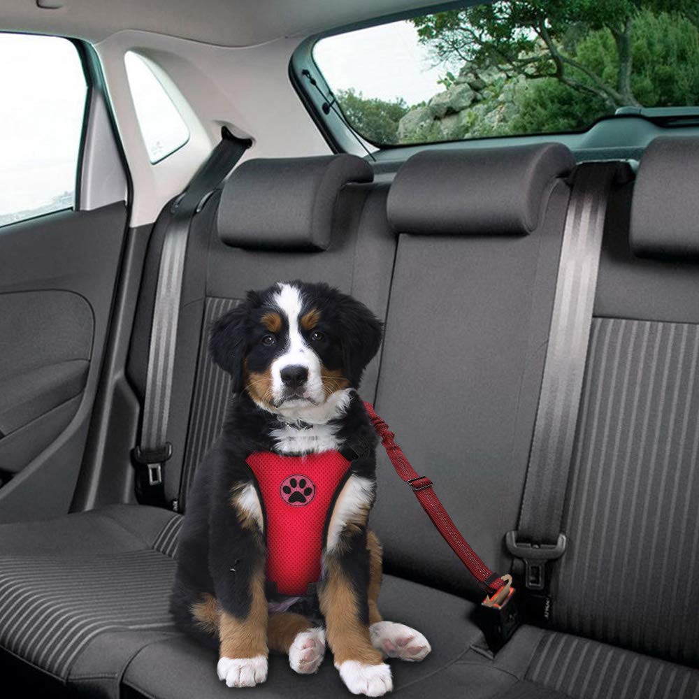 SlowTon correa-seguridad-perro-auto elástica y ajustable para mayor control.