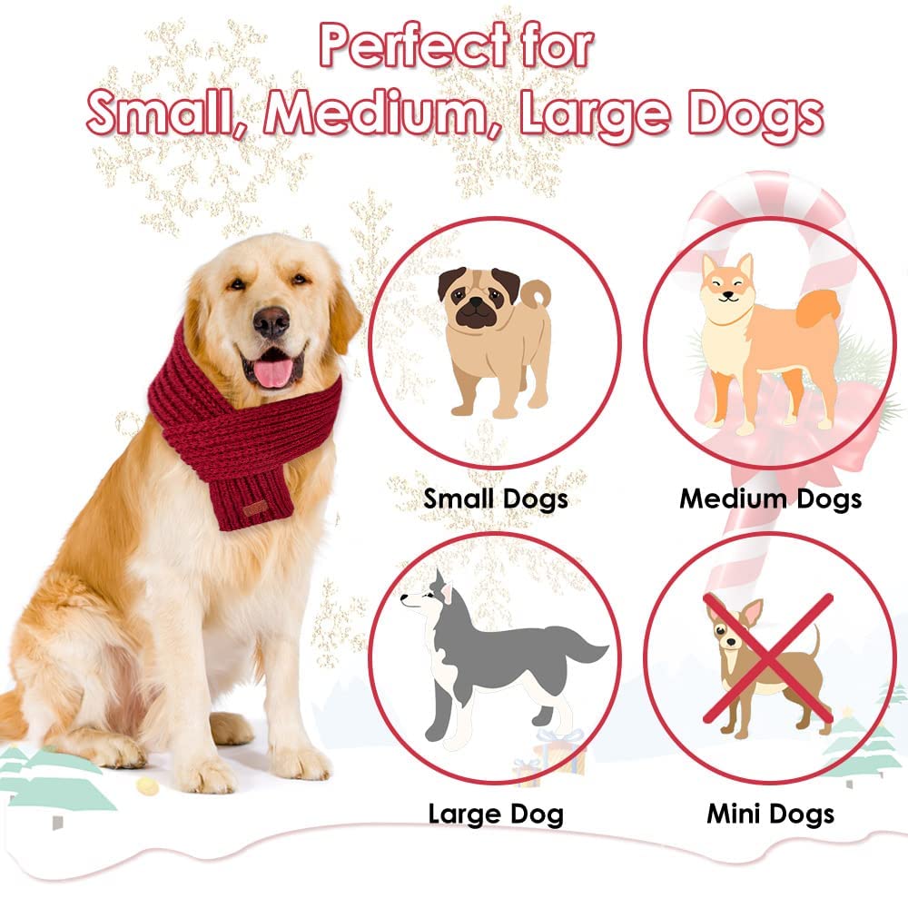 SlowTon detalle-cuero, aporta un toque elegante al atuendo de tu perro.