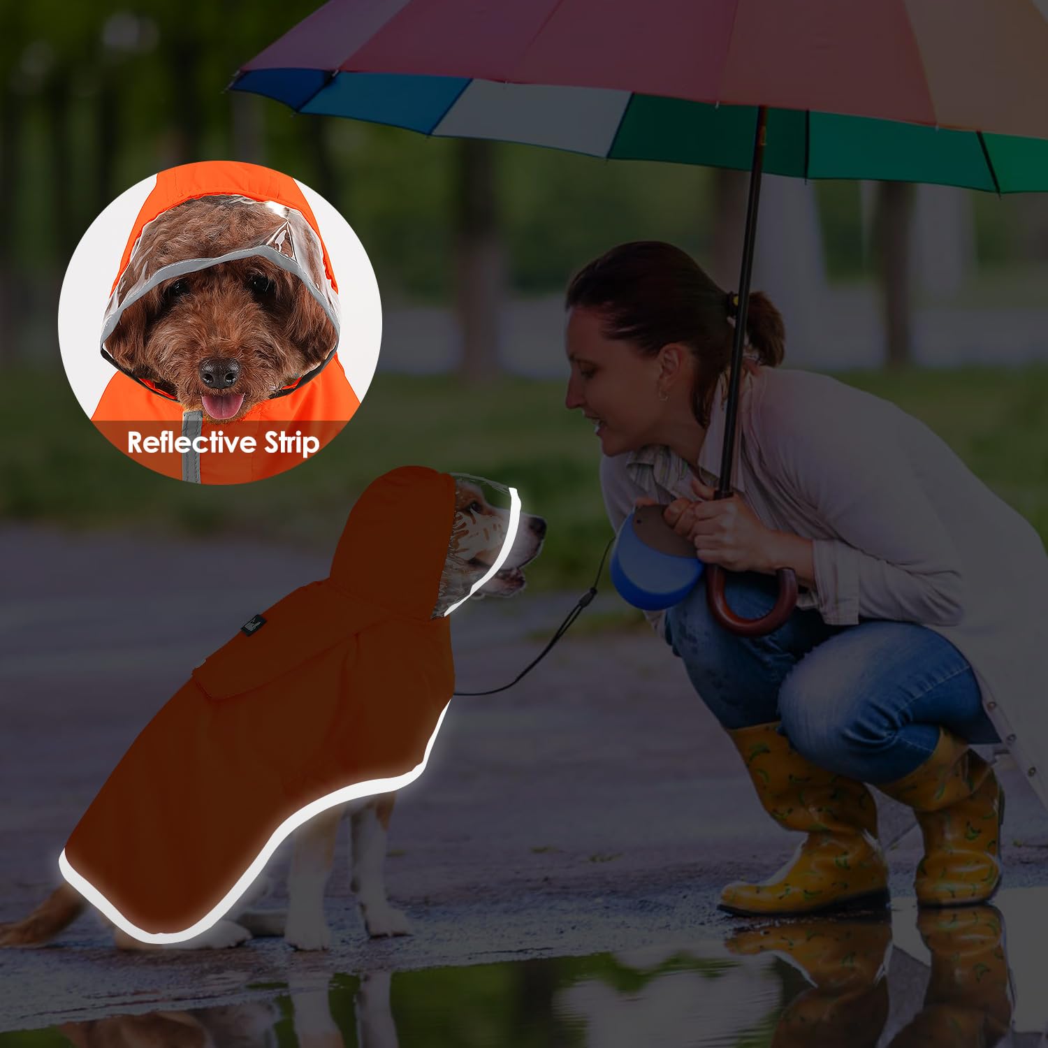SlowTon impermeable en tallas XS a XXXL para perros de todos tamaños.