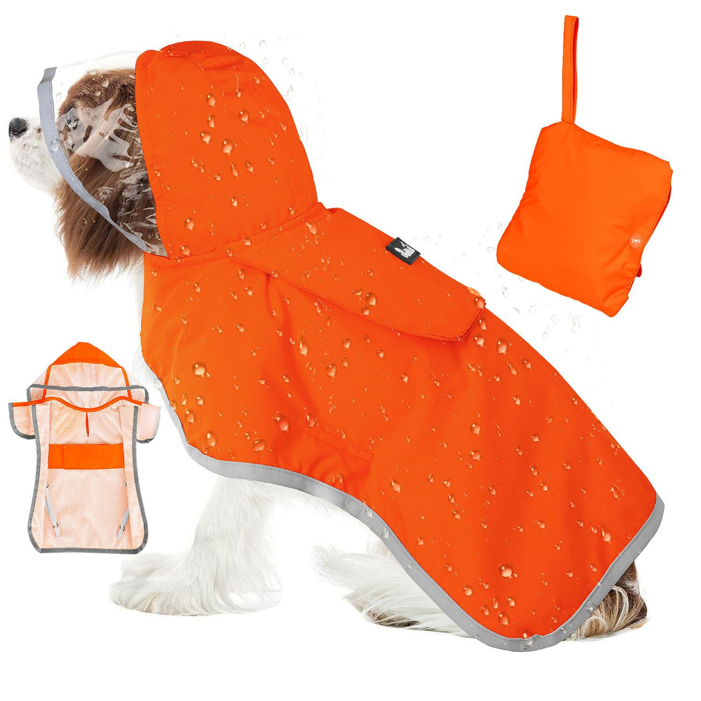 SlowTon perro visto de espalda con capa impermeable para lluvia.