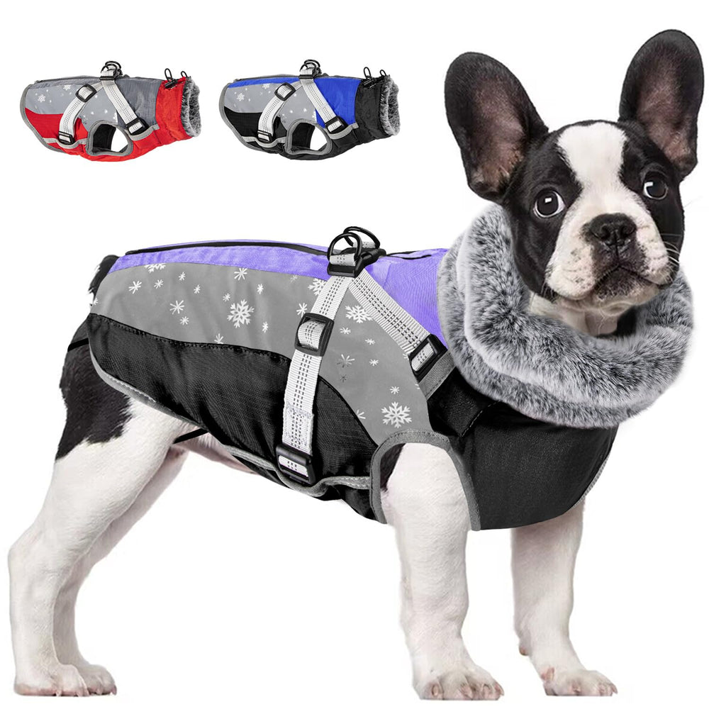 SlowTon chubasquero para perro con correa integrada, ideal para paseos invernales.