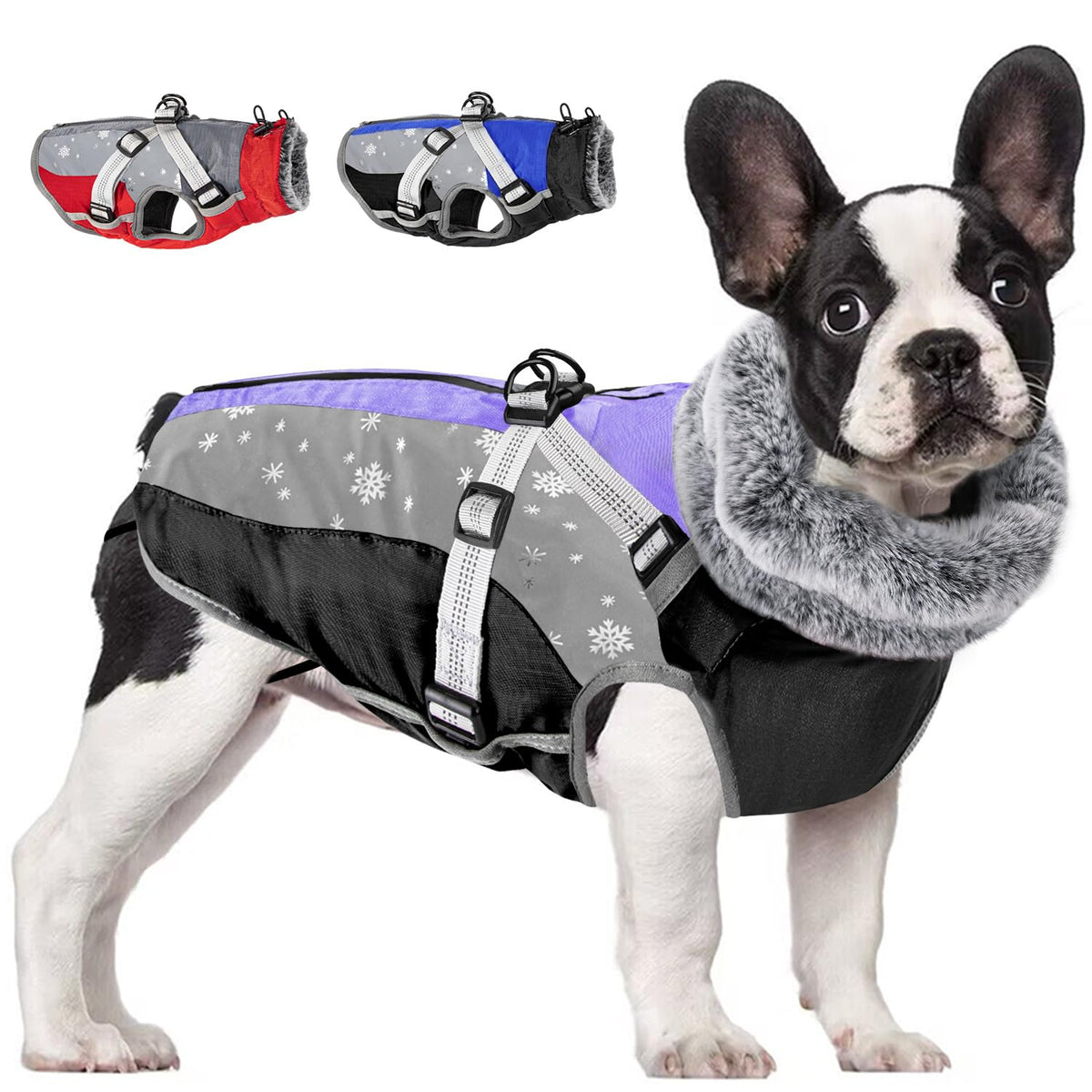 SlowTon chubasquero para perro con correa integrada, ideal para paseos invernales.
