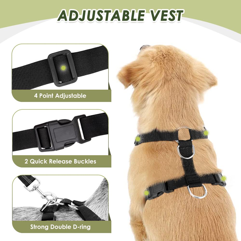 SlowTon correa elástica tipo bungee ofrece libertad controlada.