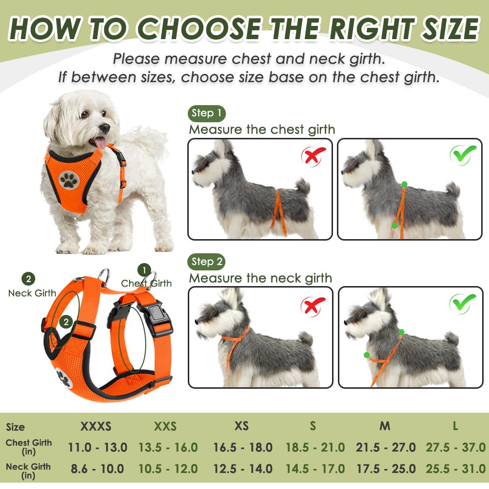 SlowTon talla L para perros medianos y grandes, ajuste estable.