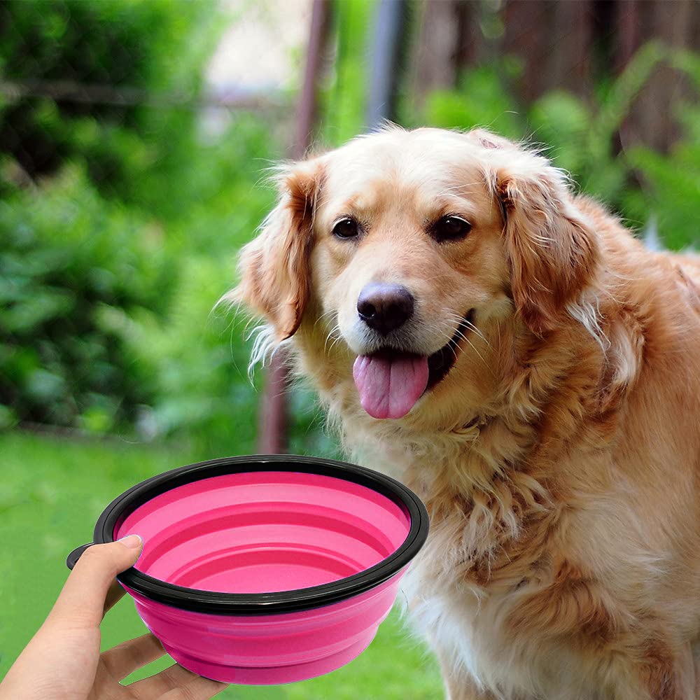 SLSON capacidad 34 oz de agua o 4.2 tazas de comida para mascotas.