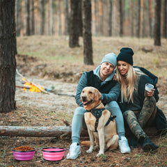 SLSON cuenco plegable para perros morado, ligero y resistente para paseos con tu mascota.