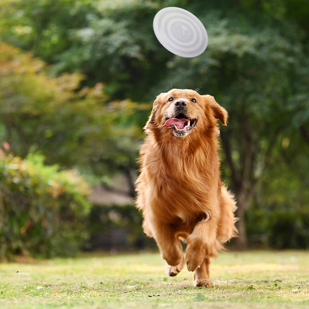 SLSON pack de dos tazones plegables para mascotas, ideal para salidas