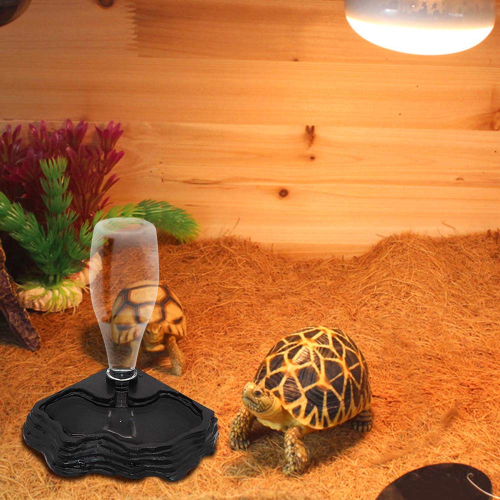 SLSON compatible con geckos y tortugas para beber y comer