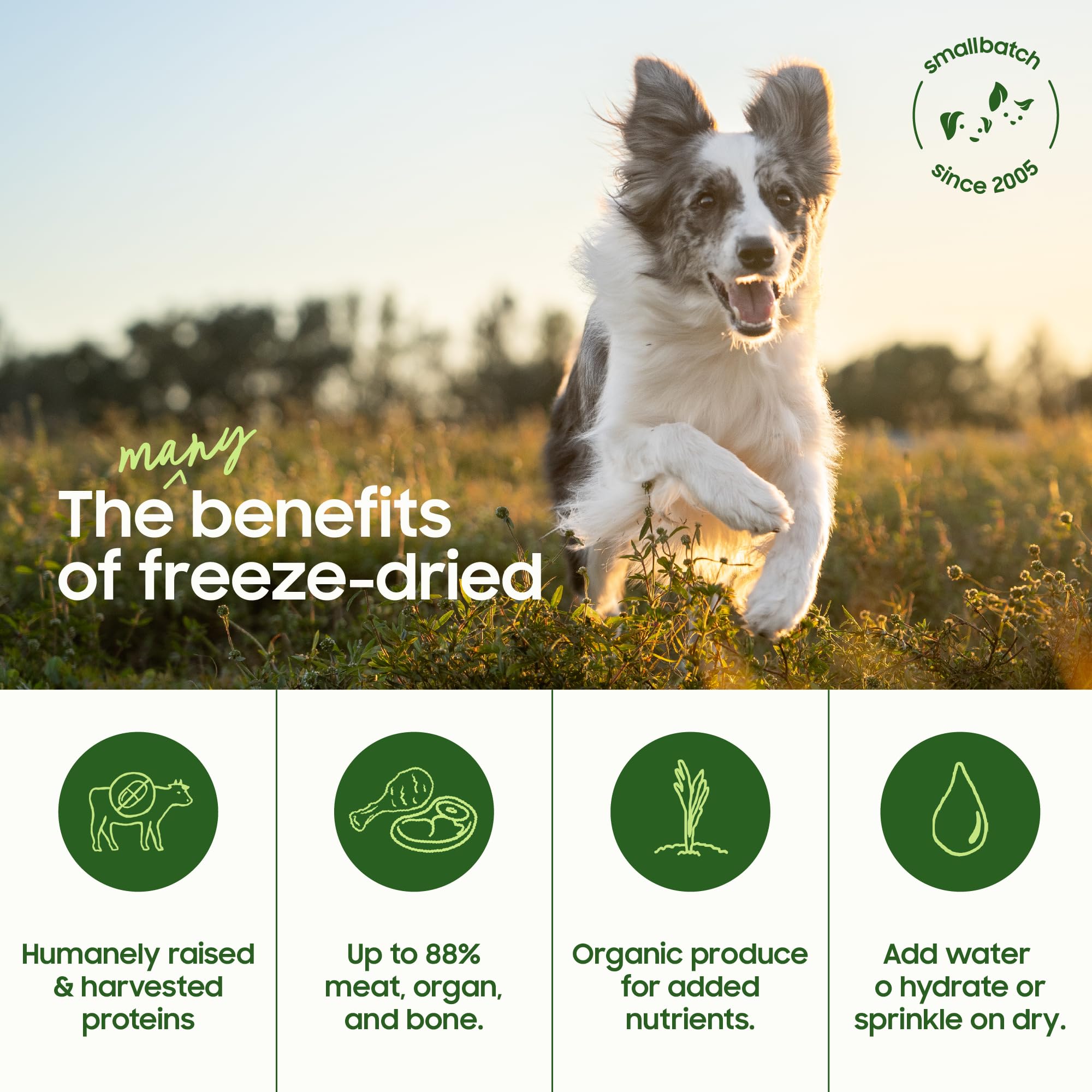smallbatch alimento para perros liofilizado de pollo, sirve como comida completa