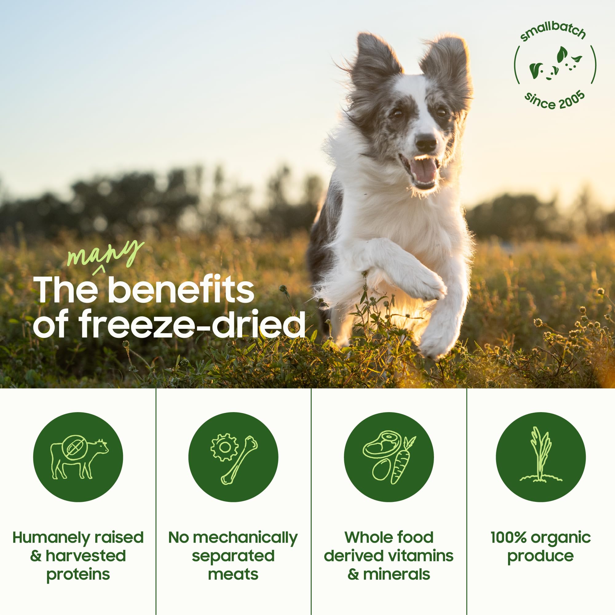 smallbatch tratamiento natural para mascotas, ingrediente único sin aditivos.
