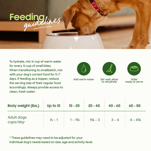 smallbatch kale organico, ayuda a una dieta equilibrada para perros.