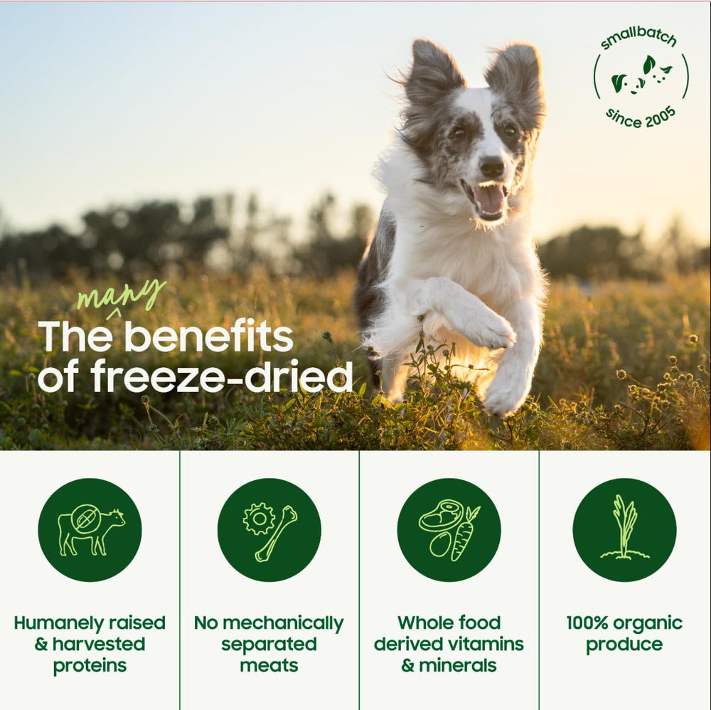 smallbatch Pets alimento completo y equilibrado para todas las etapas de vida