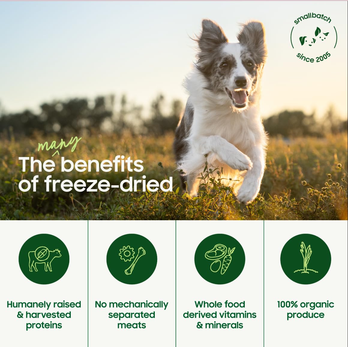 Smallbatch Pets modo hidratar y servir, ideal para comidas rápidas