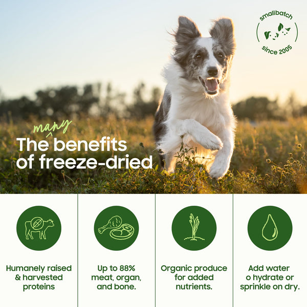 smallbatch-pets-verduras-organicas, fibra y vitaminas para una digestión saludable.