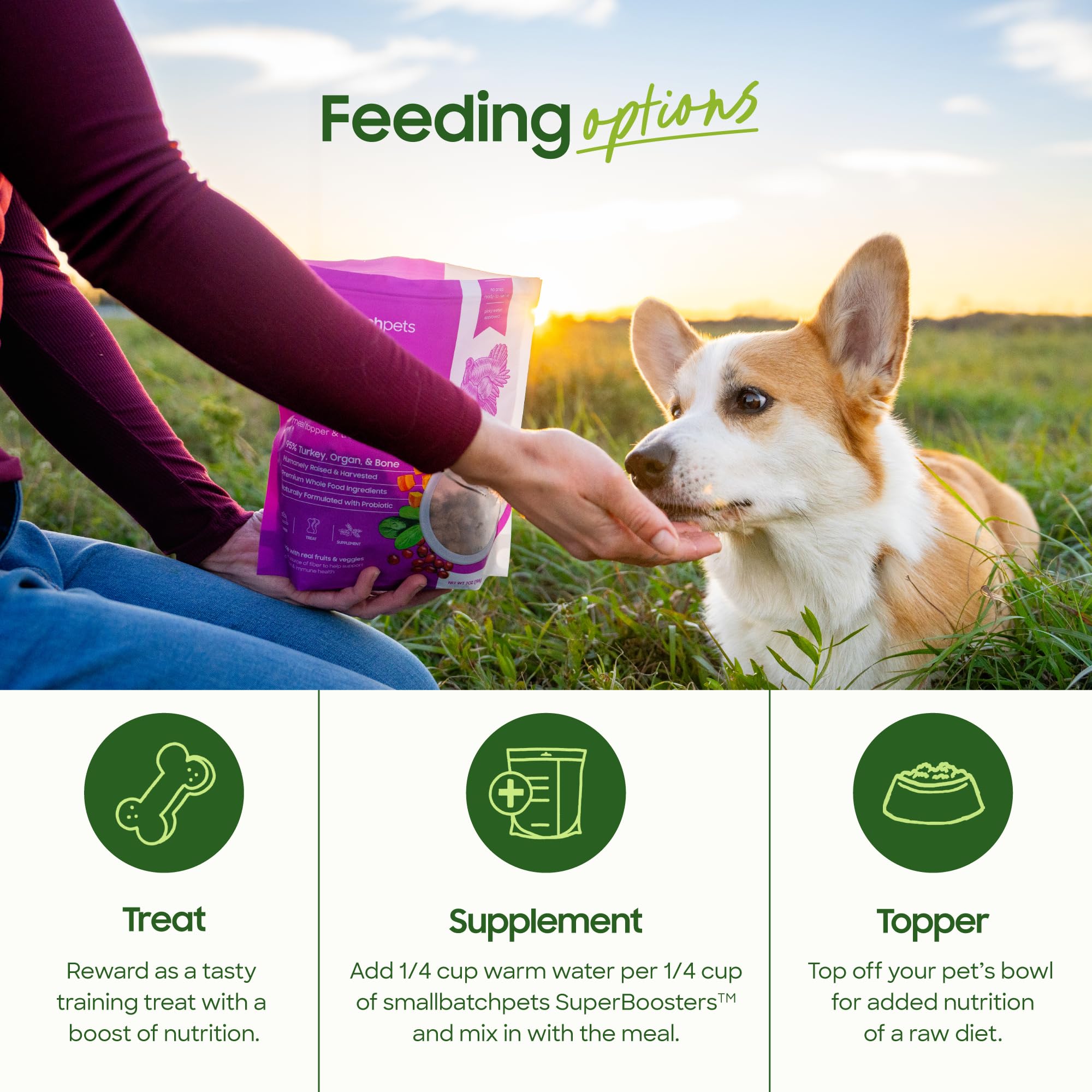 Sin granos, nutrición natural para mascotas