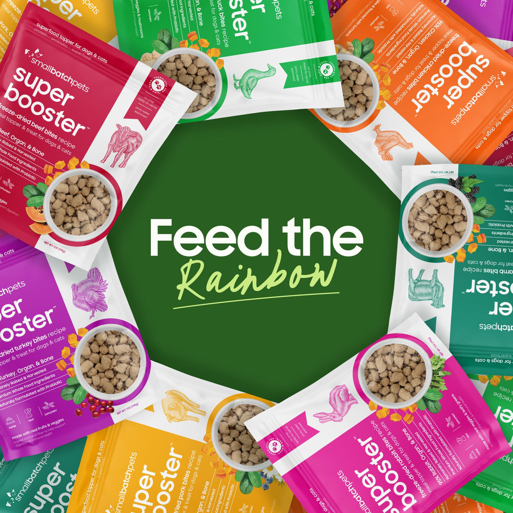 Uso diario como complemento dietario para perros y gatos