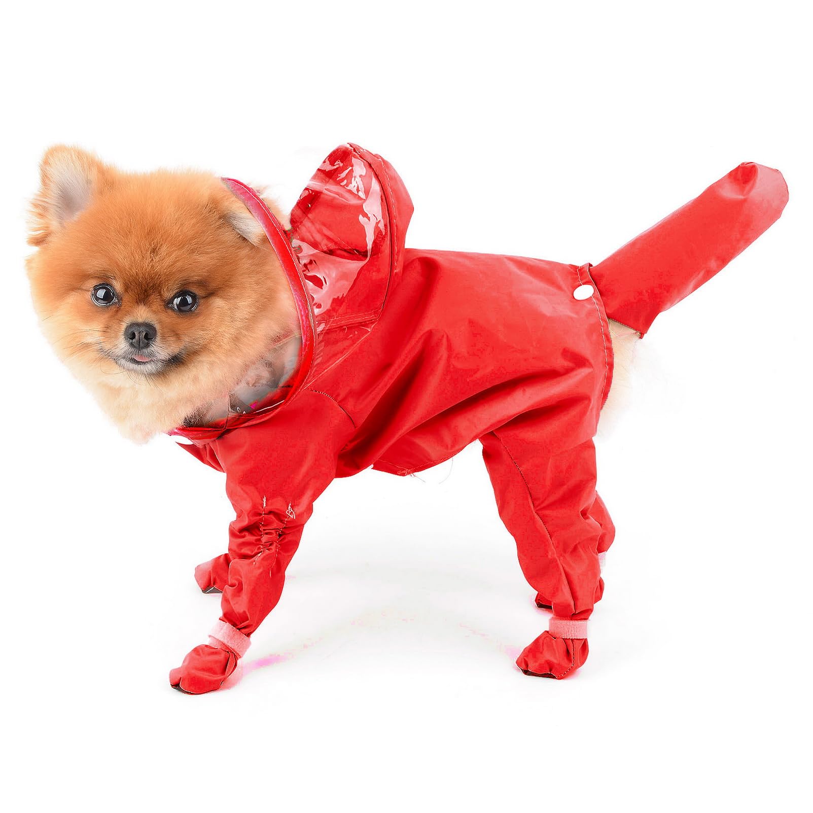 SMALLLEE_LUCKY_STORE capucha perro vista lateral resguarda del viento