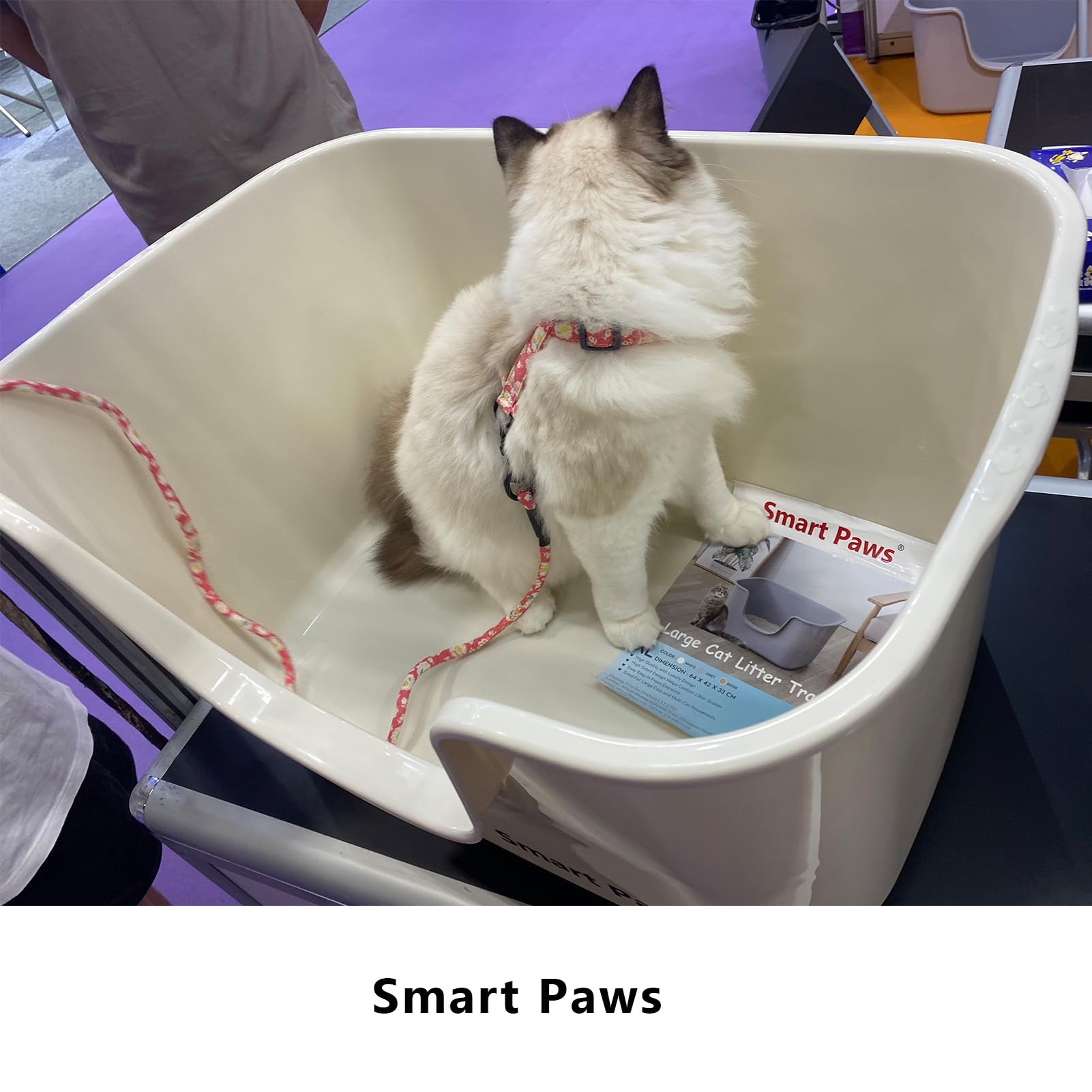 Smart Paws ideal para hogares con varios gatos