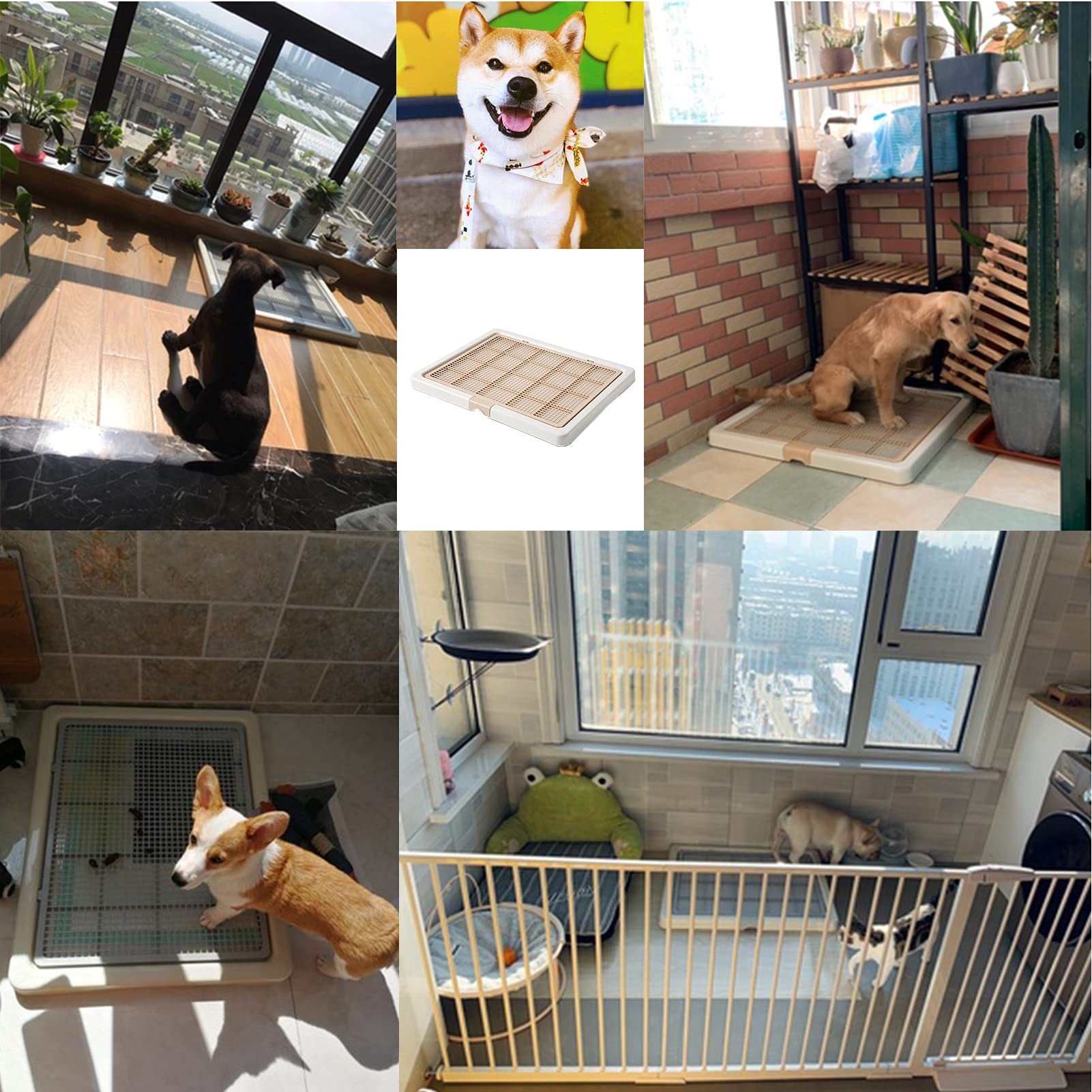 Smart Paws limpieza rápida, mantenimiento sencillo diario