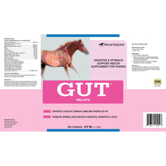 SmartEquine Gut Pellets: mano sosteniendo frasco, uso diario recomendado.