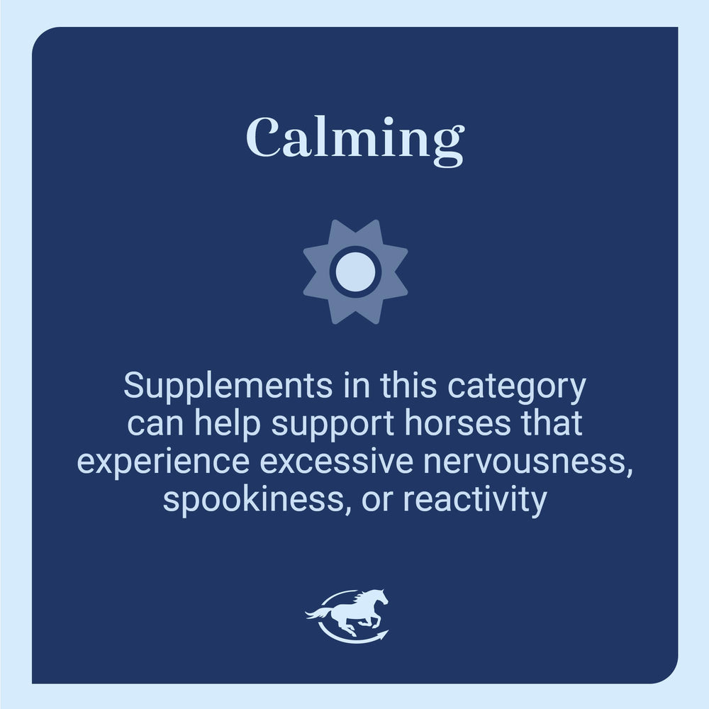SmartEquine Magnesio para caballos, enfoque en músculos durante entrenamientos.