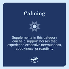 SmartEquine Magnesio para caballos, enfoque en músculos durante entrenamientos.