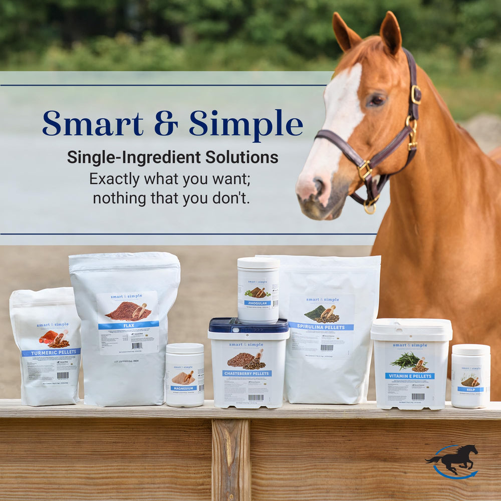 SmartEquine Magnesio, solución de ingrediente único respaldada por experiencia.