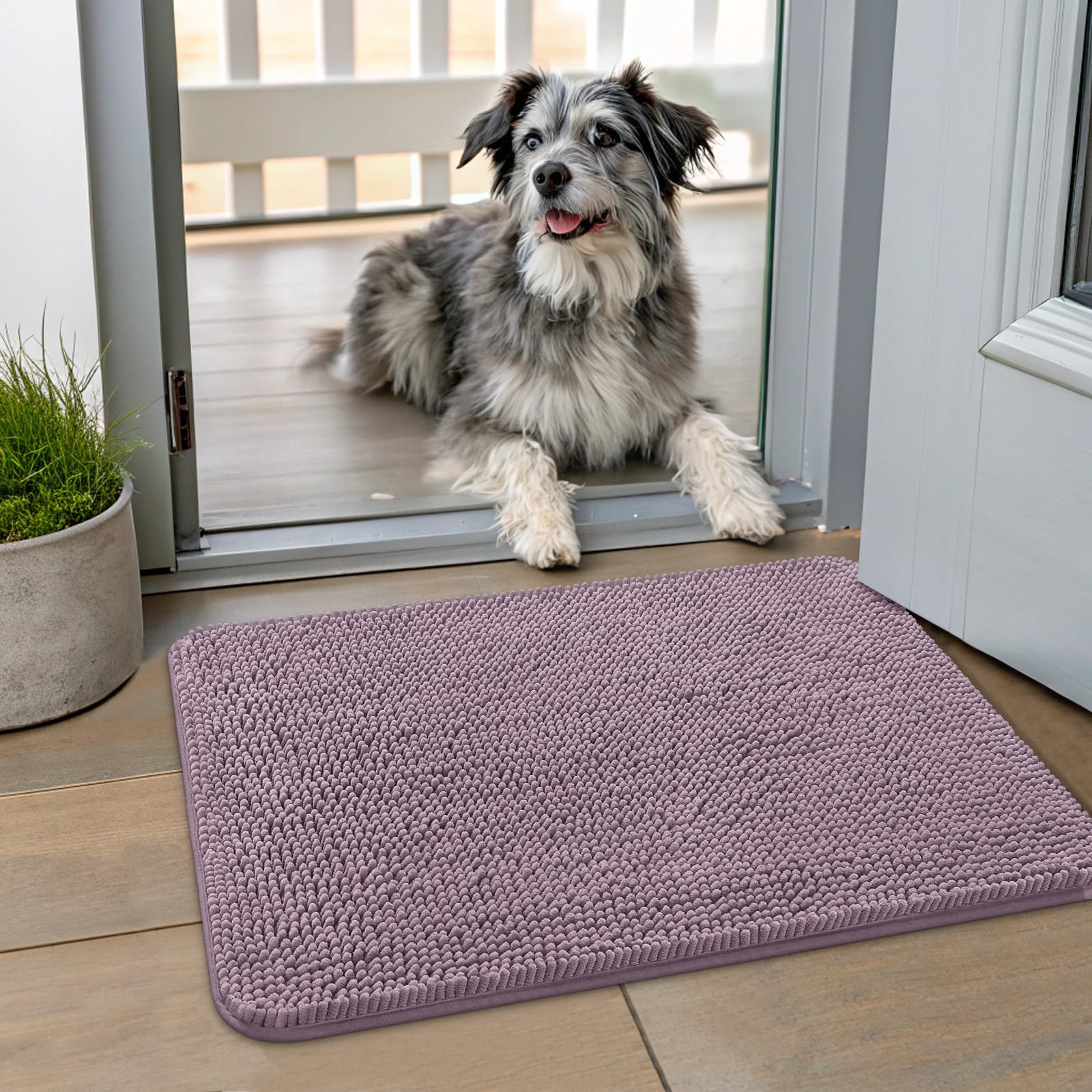 Smiry alfombra de entrada chenille patitas mojadas: absorbe humedad y suciedad.