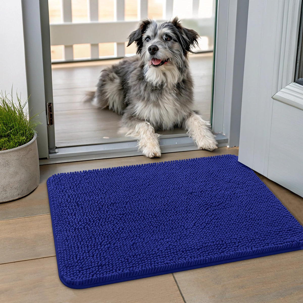 Smiry alfombra de entrada para patas mojadas, absorbe humedad y protege el suelo.