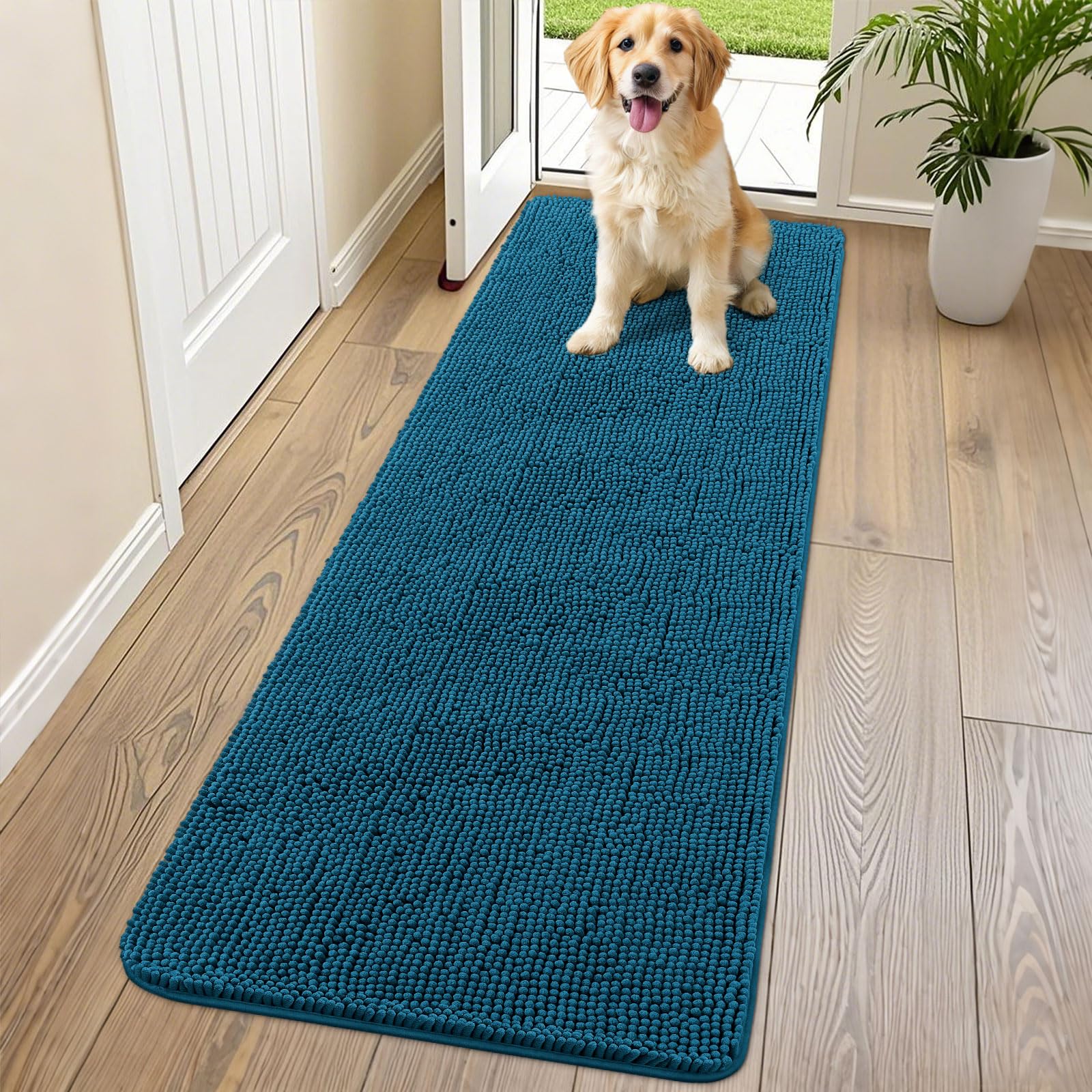 Alfombra Smiry de entrada para patas mojadas absorbe humedad y suciedad.
