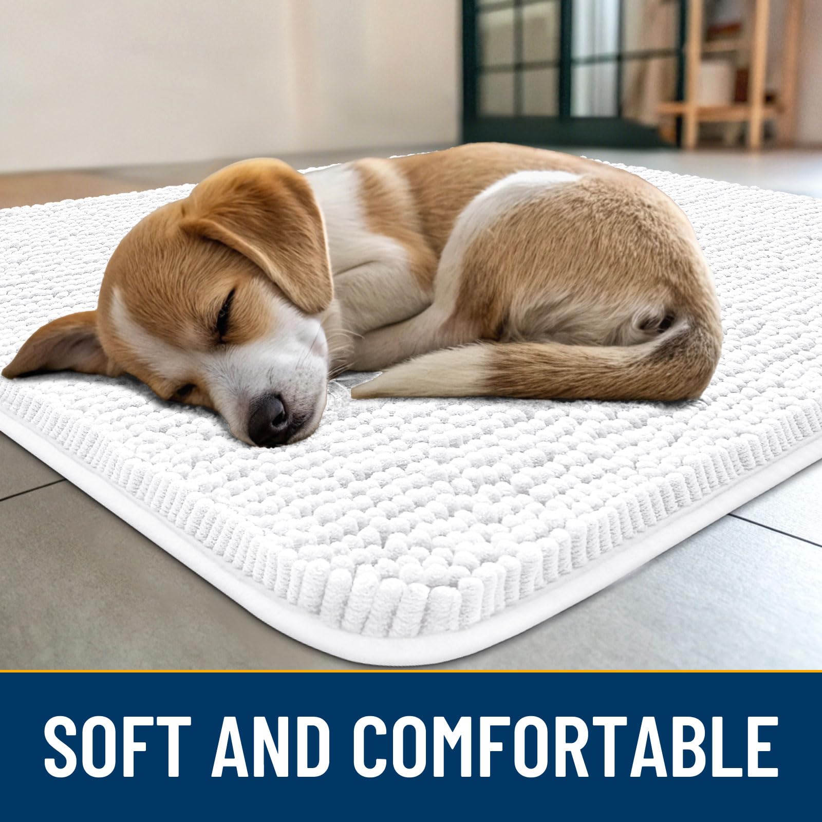 Smiry alfombra para perros absorbe humedad y suciedad en la entrada.