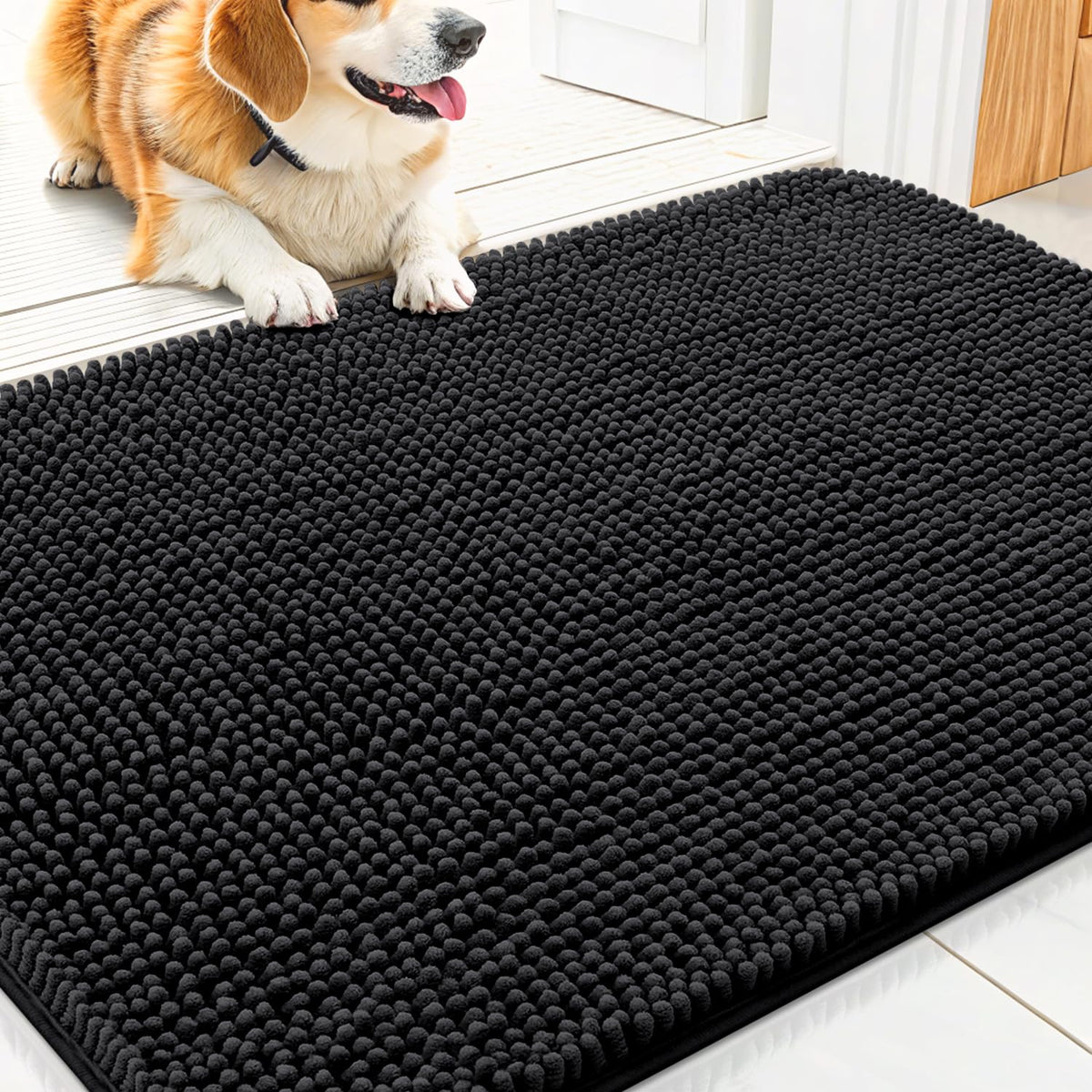 Alfombra Smiry para puerta interior mantiene las patas secas y limpias.