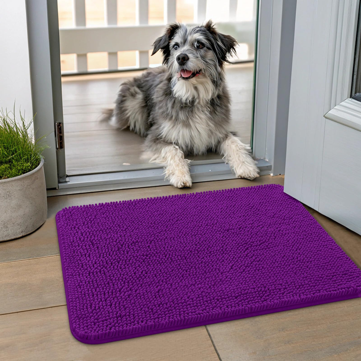 Smiry alfombra de puerta absorbe humedad y suciedad para entradas limpias