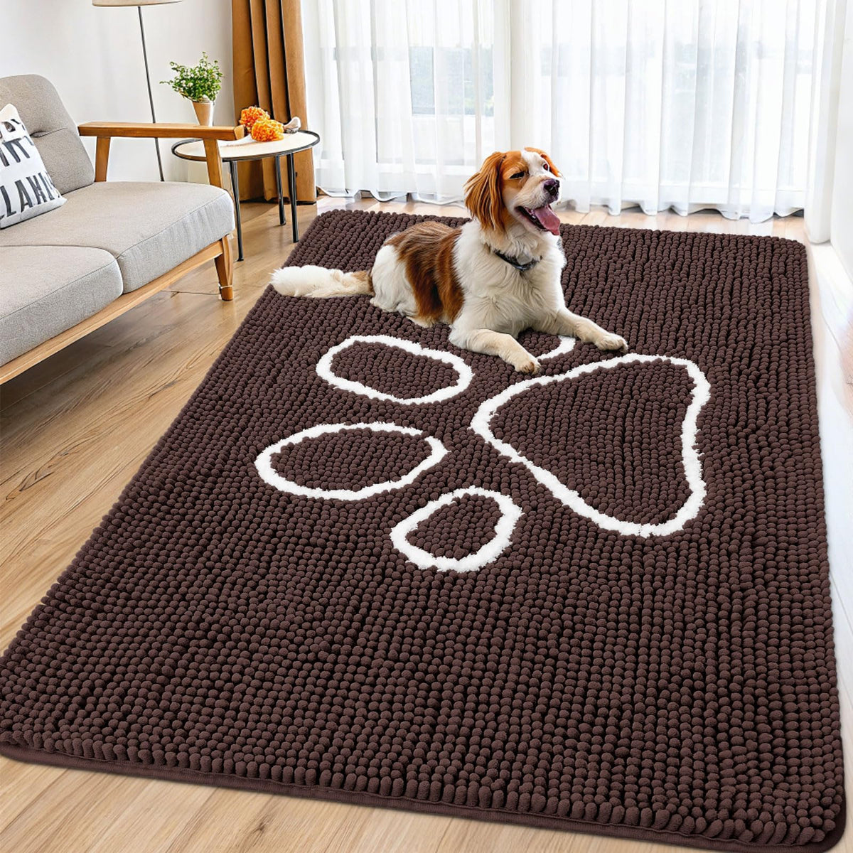 Alfombra Smiry para puerta capturando humedad de las patas