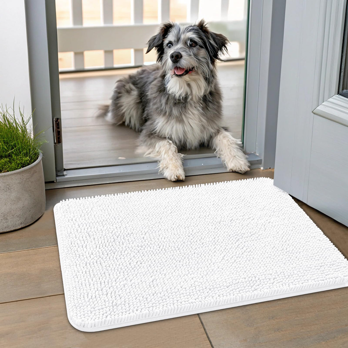 Smiry alfombrilla de entrada para perros absorbente, capta humedad y suciedad.
