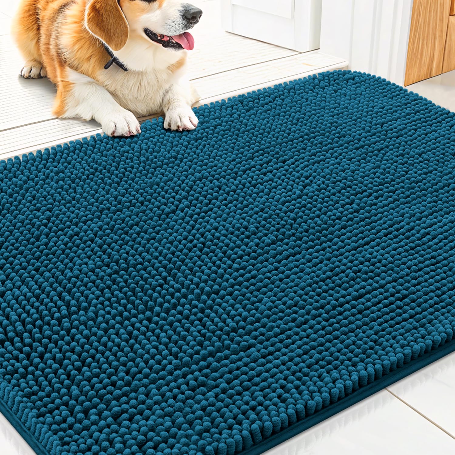 Alfombrilla Smiry para puerta con patas mojadas, absorbe humedad y mantiene el interior seco.