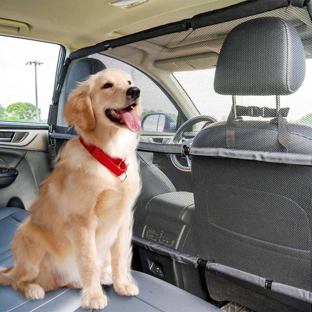 Barriera Snagle Paw para coche, una pieza, mayor cobertura y contención.