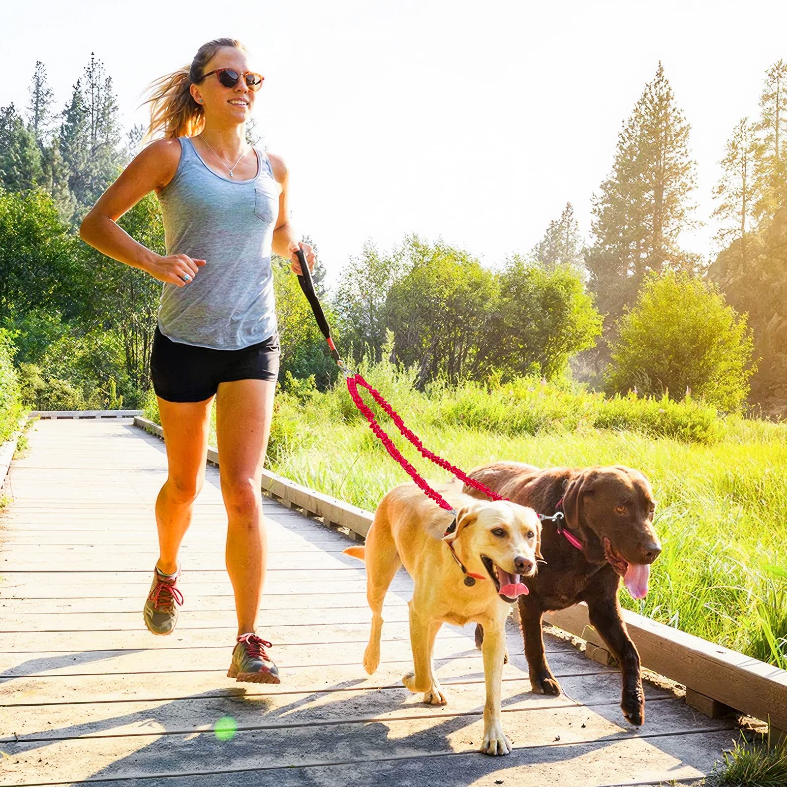 Snagle Paw acoplador para dos perros, unión estable para entrenamiento.