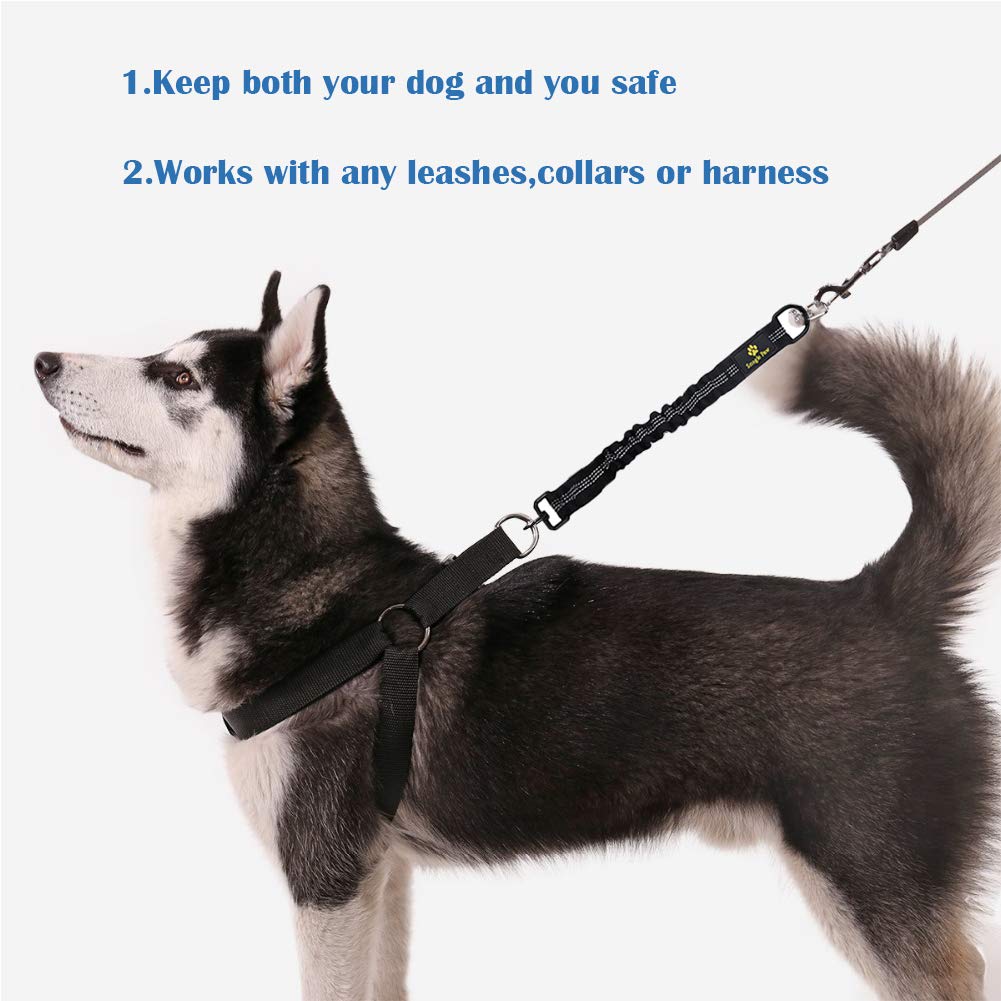 Snagle Paw extensor de correa bungee de 16 a 24 pulgadas para libertad controlada.